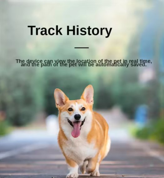 Multi-Function Locator Pet Cat Anti-Lost Device GPS+ WiFi GPS Navigation Tracker Smart Dog Collar Pet Tracker for Waterproof