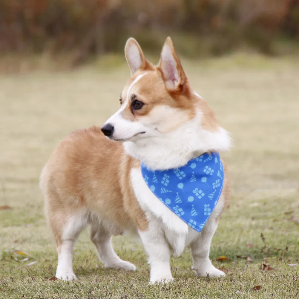 Pet Bandana Detail 3