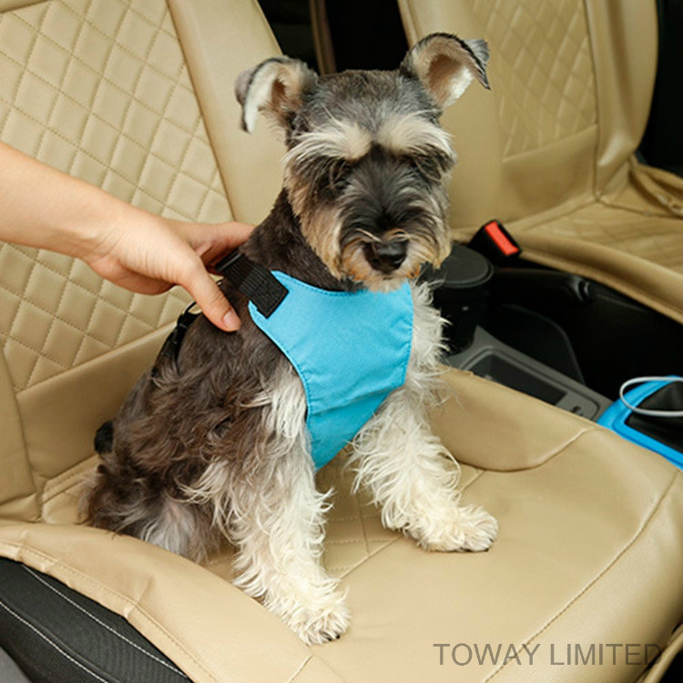 Design Dog Lead Car Seat safety Mesh Pet Harness Belt