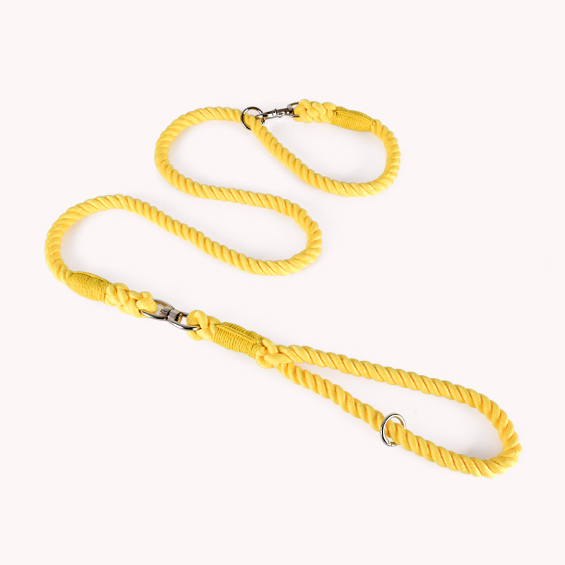 F&T Fashion Hot Sale Pet Products Wholesale Dog Leads Polyester Colorful Dog Leash