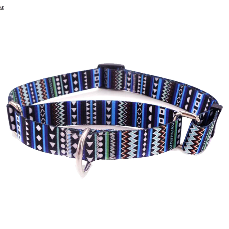 Fashion Custom Pattern Dog Training Pet Martingale Collar