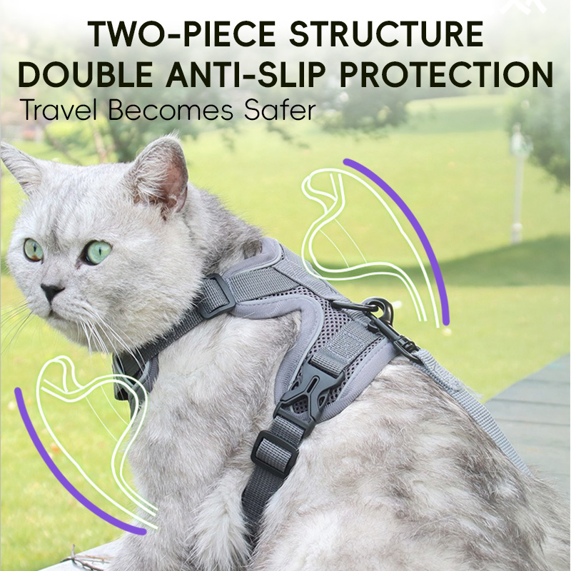 Premium Customizable Pet Harness and Chest Strap for All Breeds