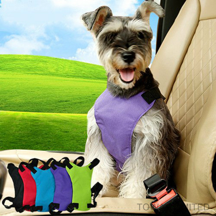 Design Dog Lead Car Seat safety Mesh Pet Harness Belt