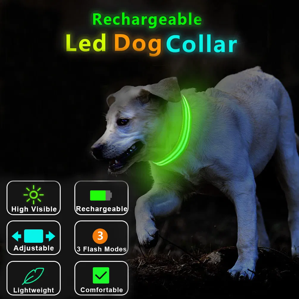 LED Collar 8