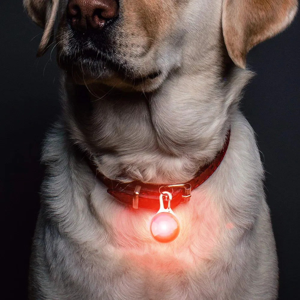 Pet Safety Pendant Light