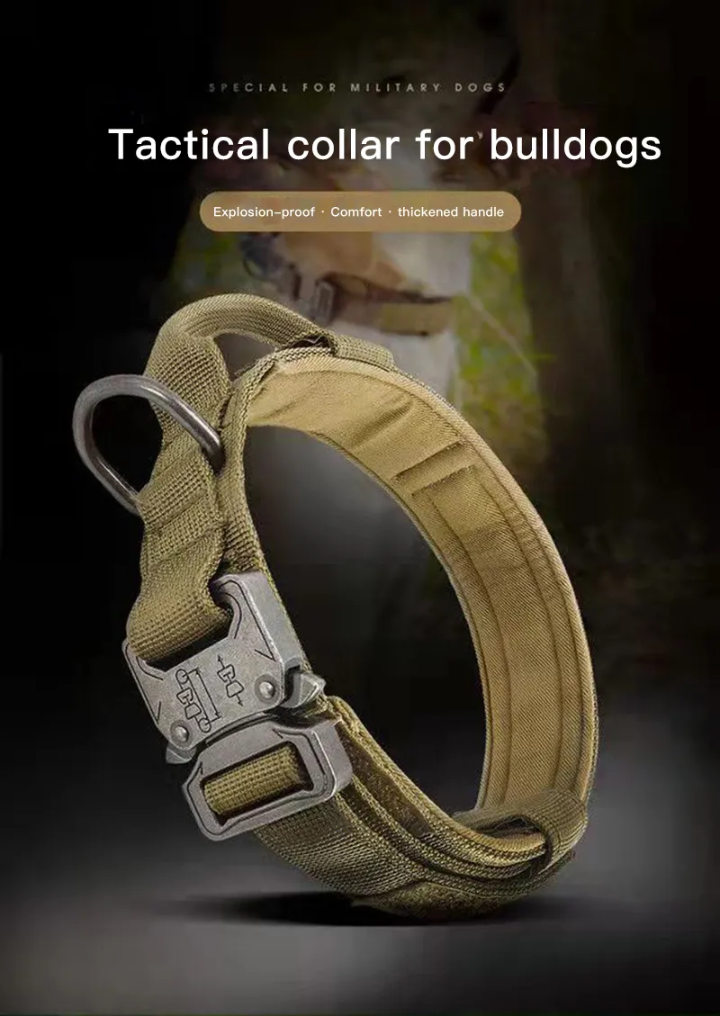 Dog Harness Detail 1