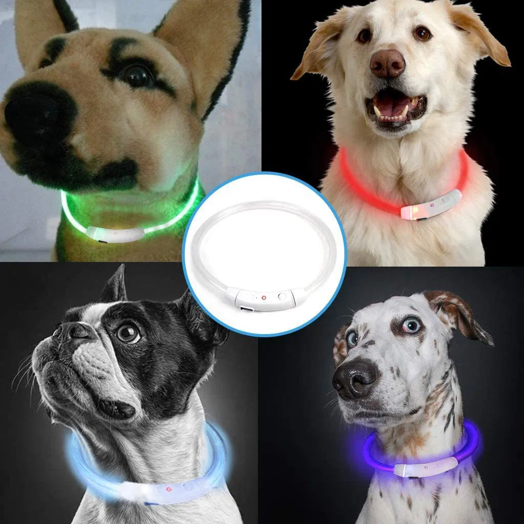 LED Dog Collar 5