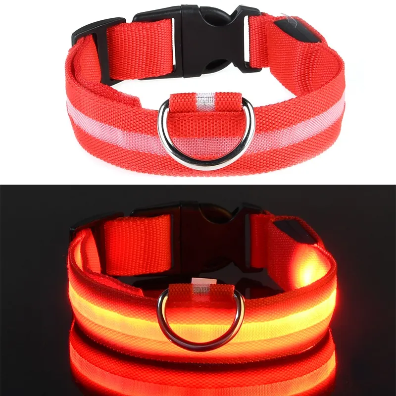 LED Dog Collar View 1