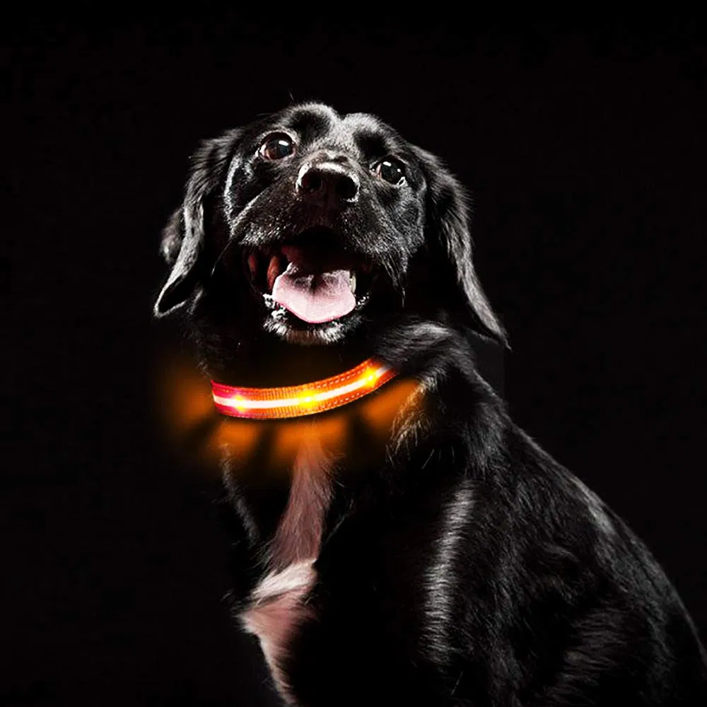 New Arrival LED Light-up Dog Collar Reflective Adjustable Pet Collars LED Product