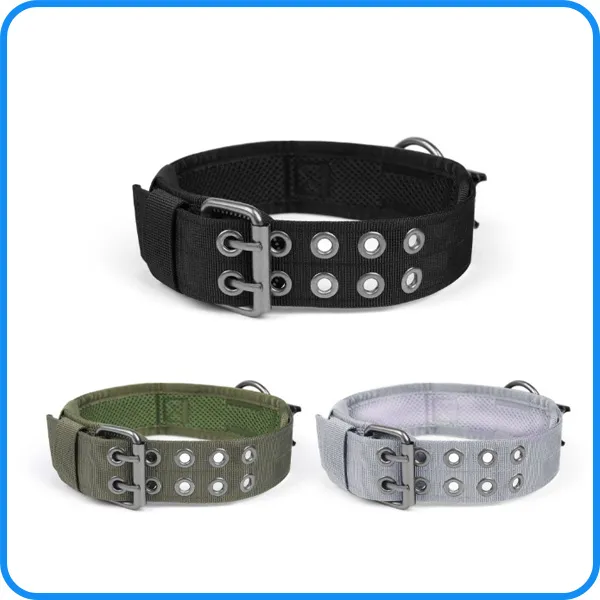 Dog Training Collar