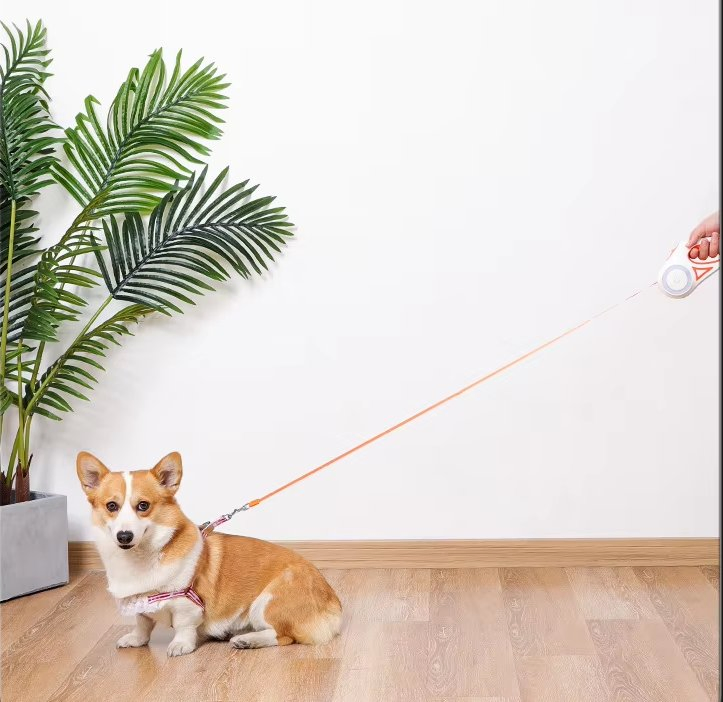 USB Chargeable 5m Retractable Pet Dog Leash with LED