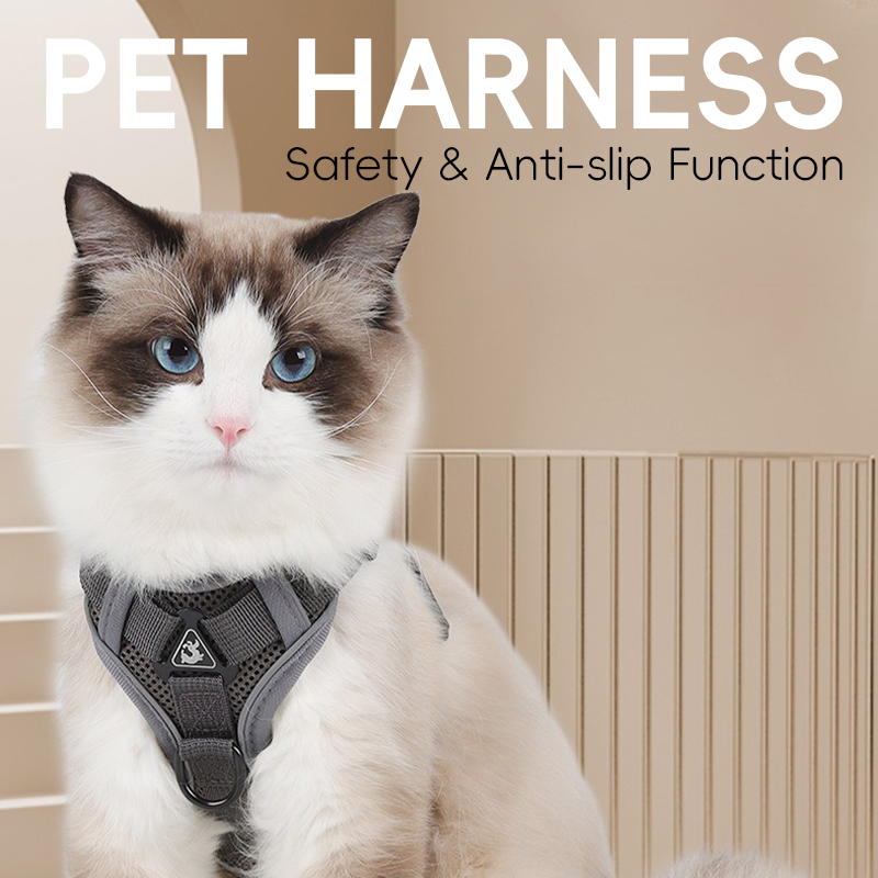 Premium Customizable Pet Harness and Chest Strap for All Breeds