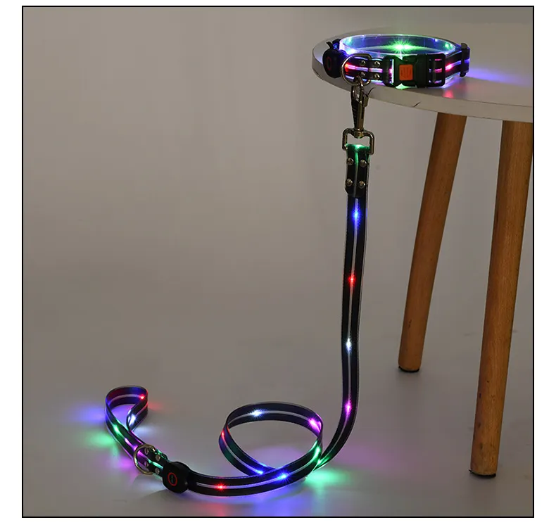 LED Pet Collar 5
