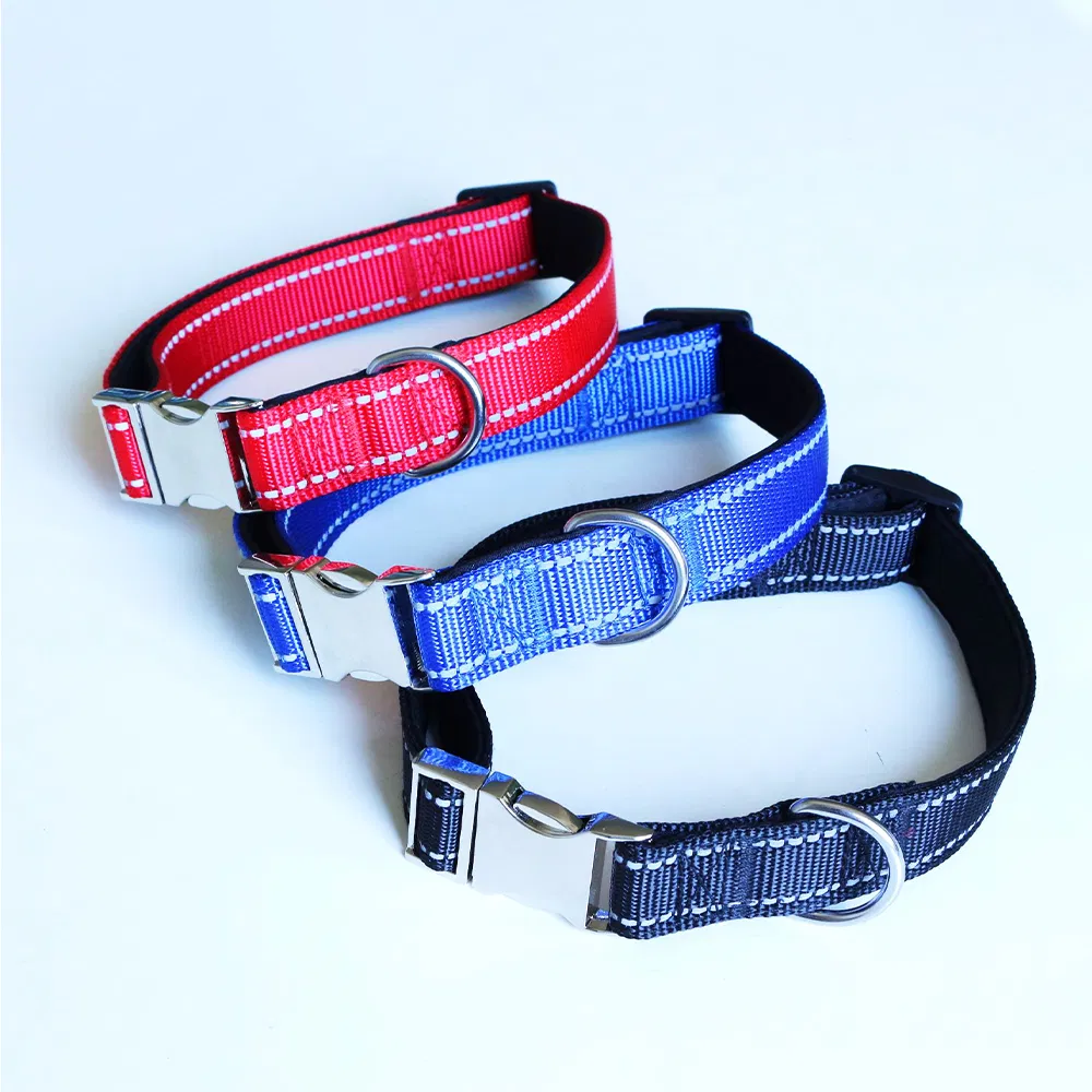 Pet Collar Detail 4