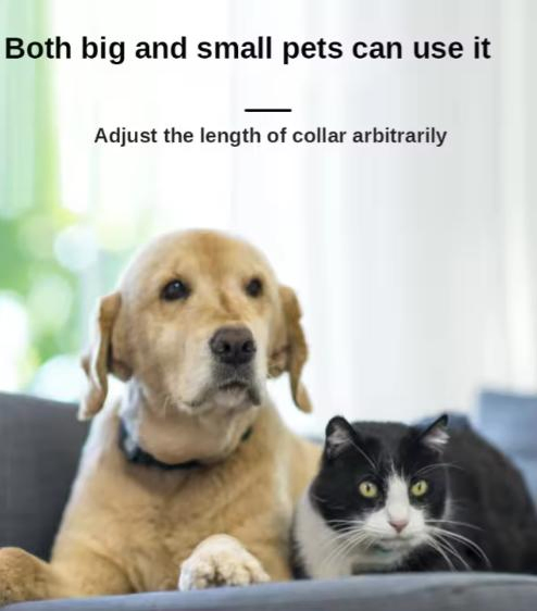 Multi-Function Locator Pet Cat Anti-Lost Device GPS+ WiFi GPS Navigation Tracker Smart Dog Collar Pet Tracker for Waterproof