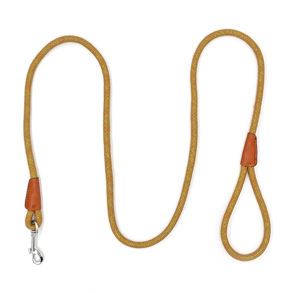 Comfortable Smooth Lightweight Pet Leash for Pet Training