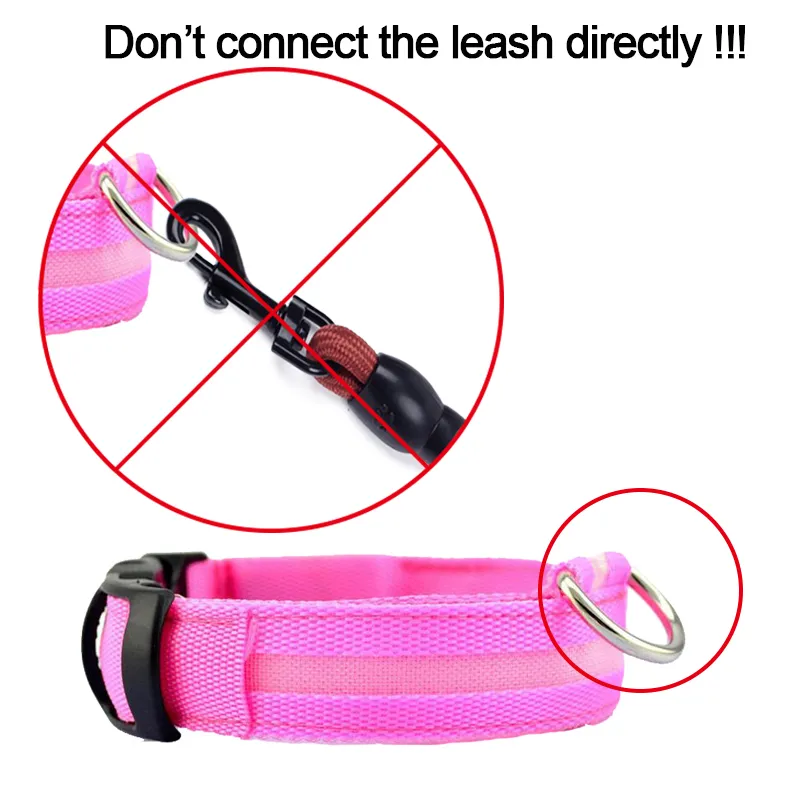 Night Safety Dog Collar
