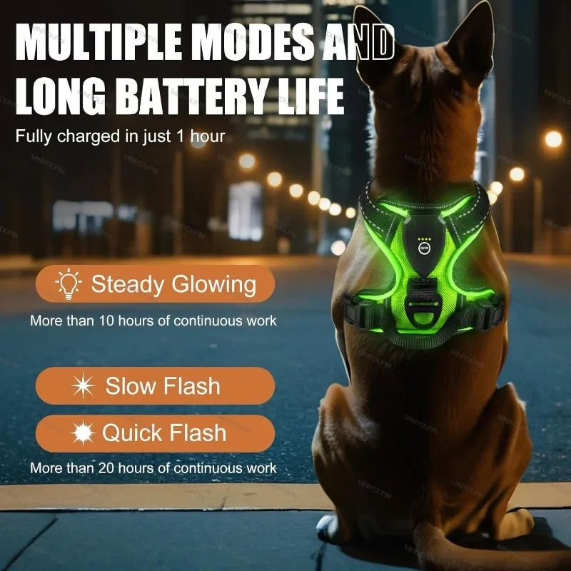 Custom Logo Fluorescent Flash Night Walking Adjustable Rechargeable USB Charging Heavy Duty LED Light up Pet Dog Harness Set