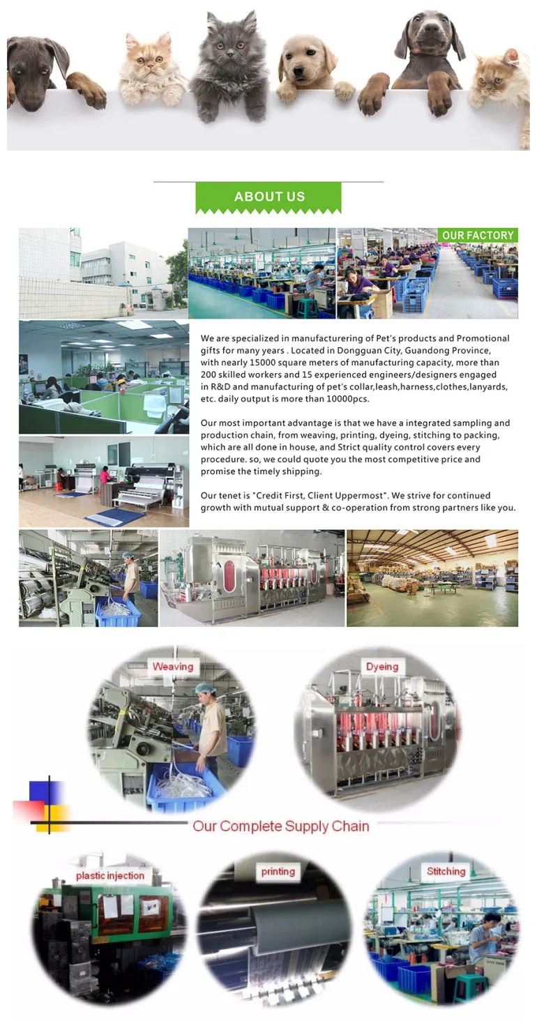 Manufacturing Process