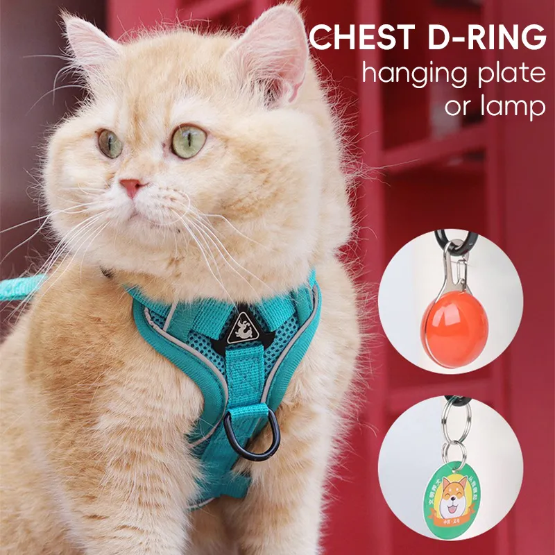 Pet Harness Front View