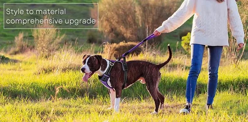 Pet Harness Overview