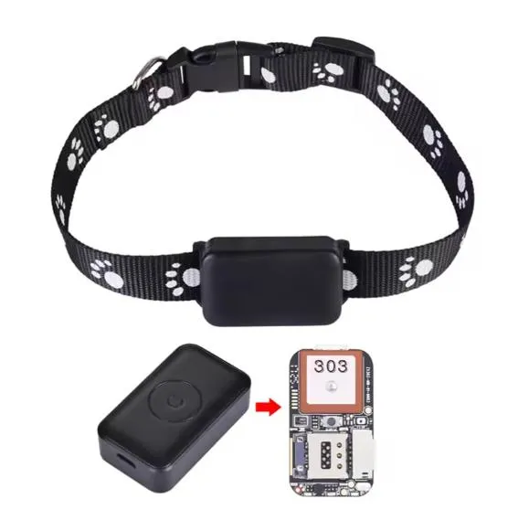 Pet Tracker Detail 4