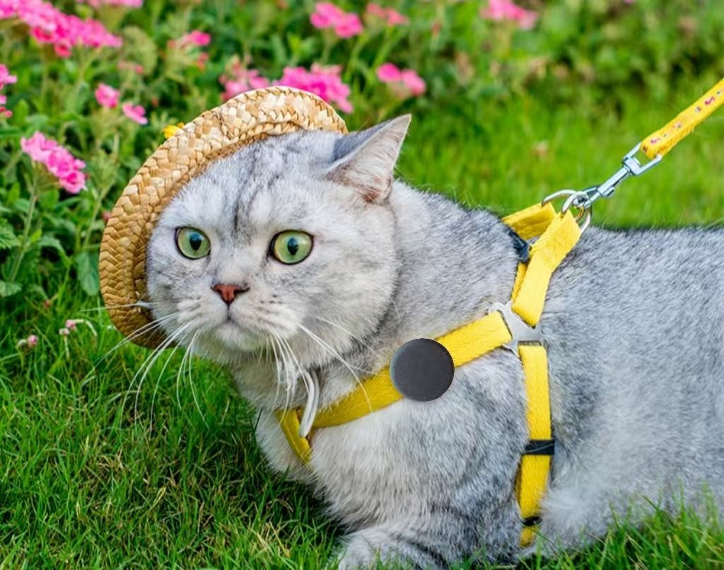 Mini GPS Anti-Lost Tracker for Kids Pets Luggage Wholesale Smart Locator Device