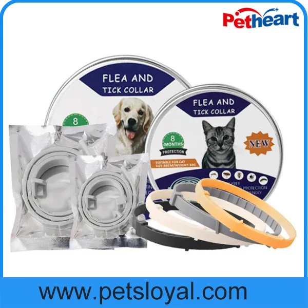 Pet Collar Photo 3