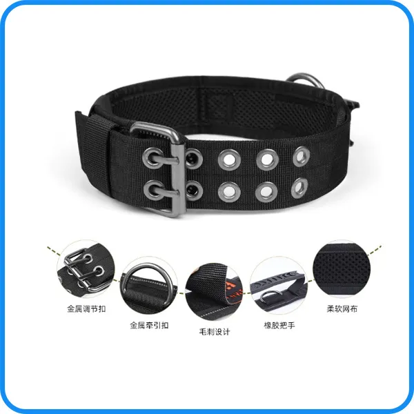 Training Collar