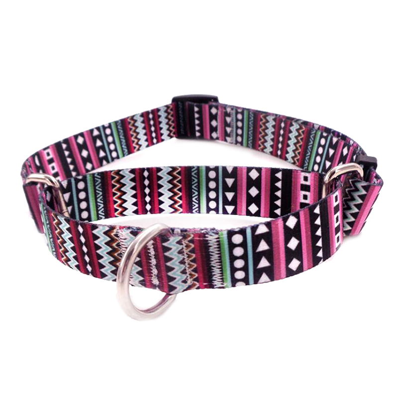 Fashion Custom Pattern Dog Training Pet Martingale Collar
