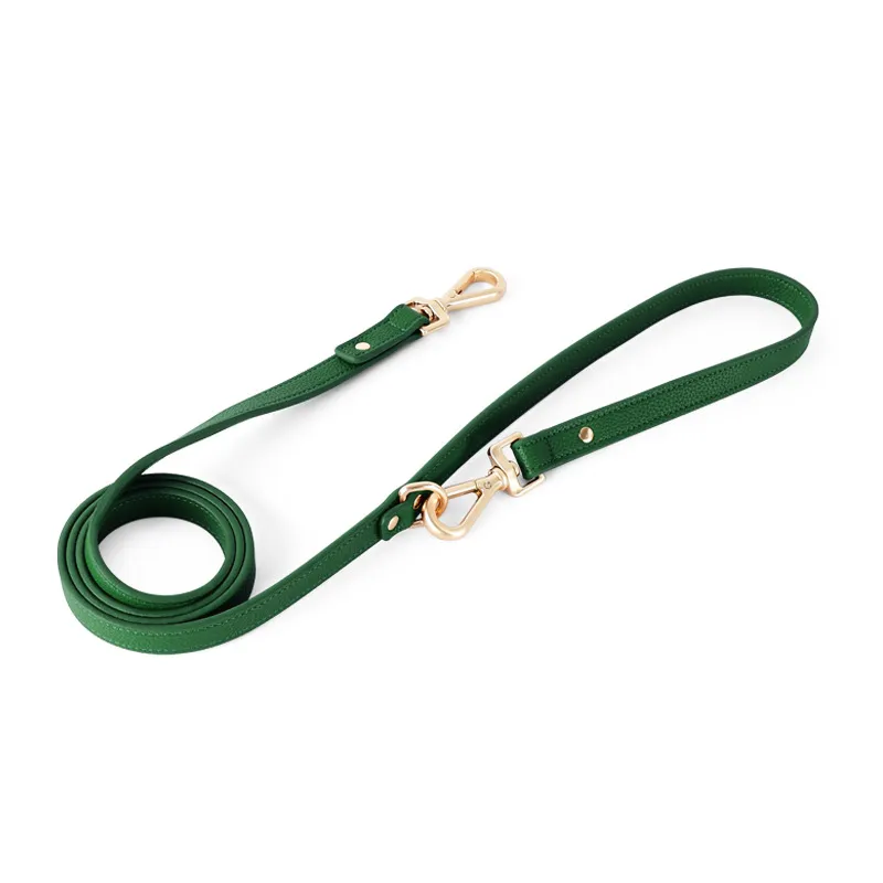Pet Dog Leash 4