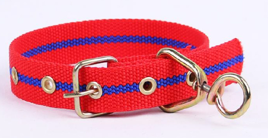 Pet Collar for Small Medium Large Dogs Adjustable Wholesale Supply