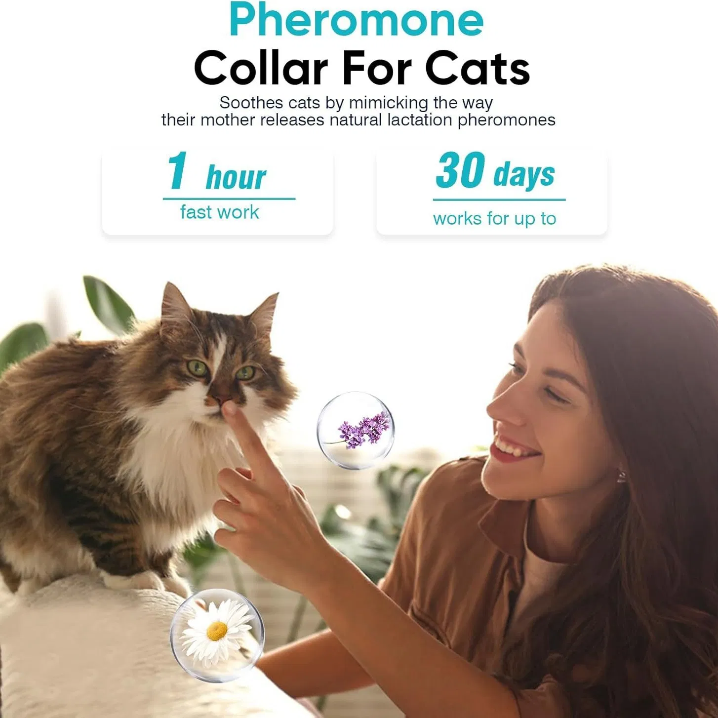 Adjustable Waterproof Pet Calming Collar for Small Medium Large Cat