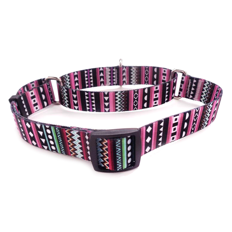 Fashion Custom Pattern Dog Training Pet Martingale Collar