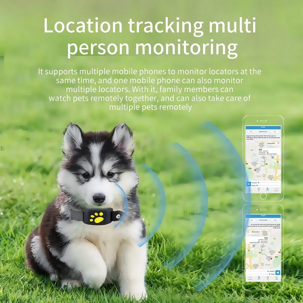 Wholesale Outdoor High Quality Pet GPS Tracker with SIM Mobile APP Mini Dogs Cats Activity Training Collar