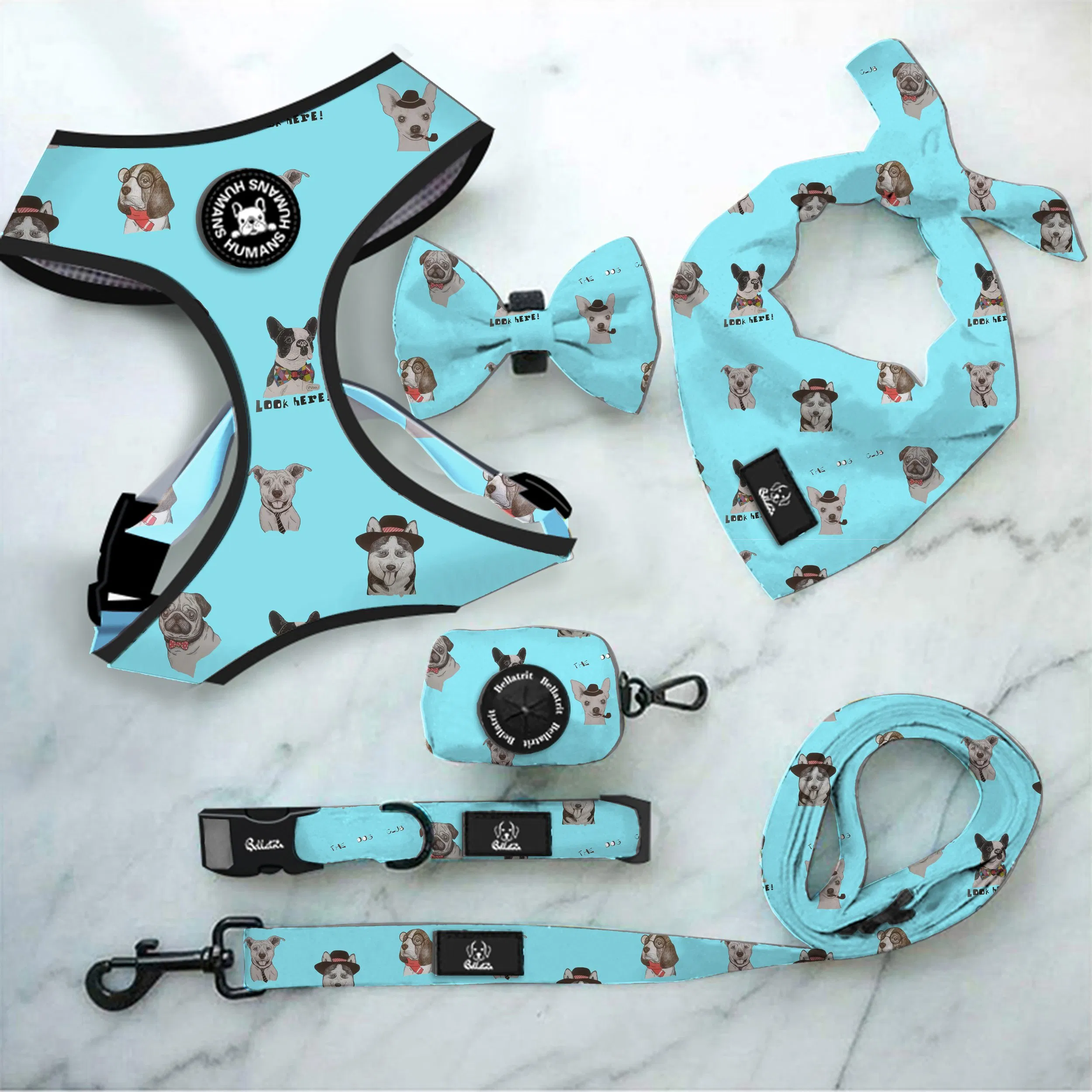 Amazon Pet Supplies Popular Style Custom Logo Walking Harness Dog Harness China