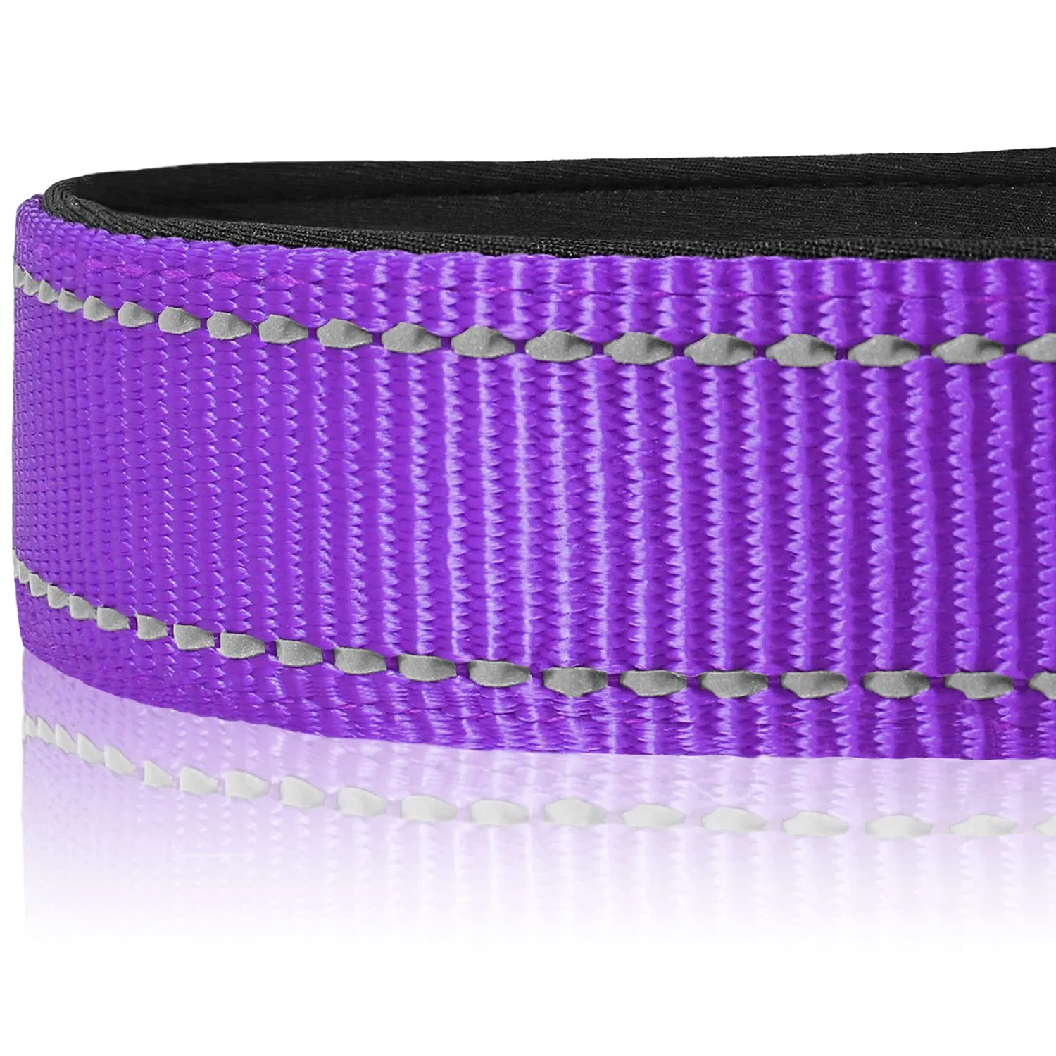 Joytale Soft Neoprene Padded Pet Nylon Reflective Collar Dog and Cat Collar