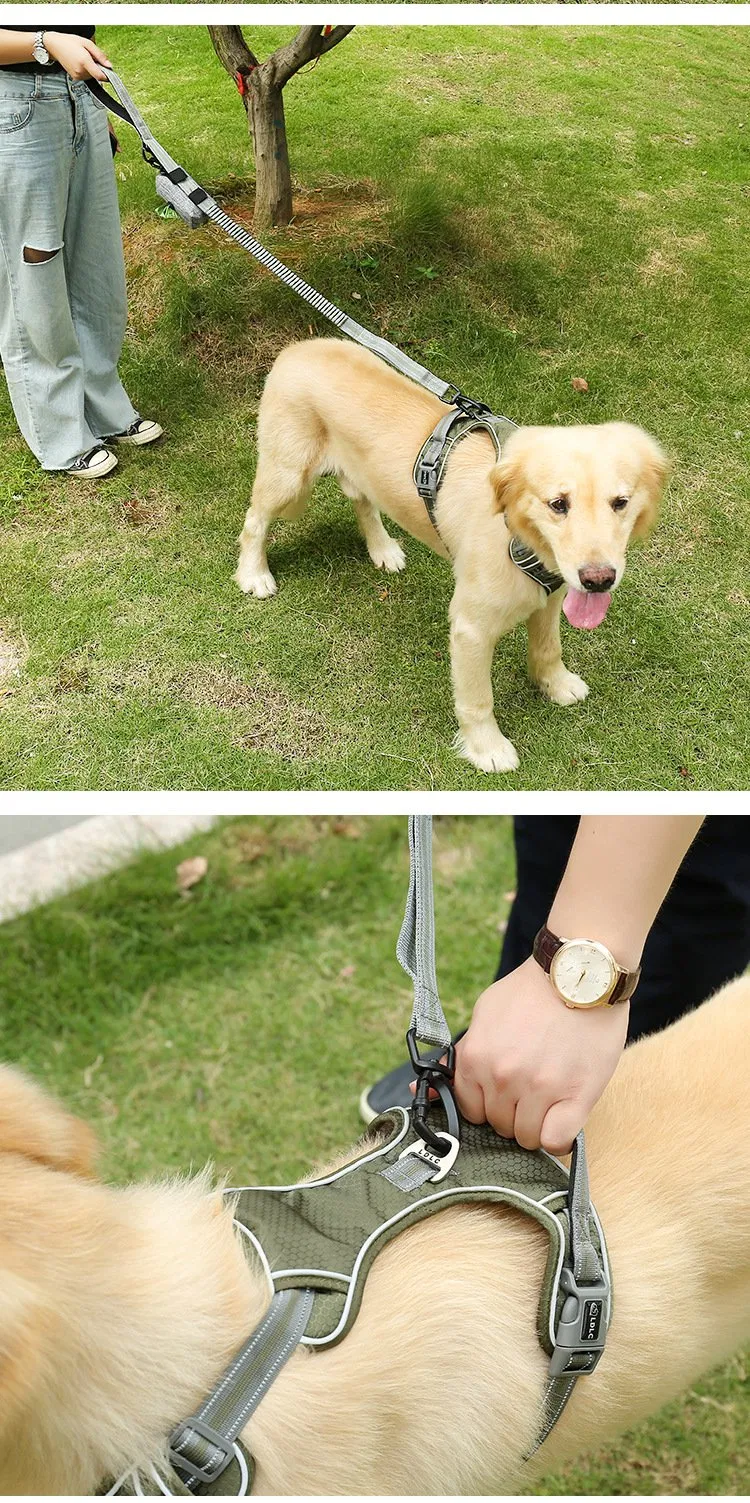 High Elastic Nylon Medium and Large Dog Leash Fluorescent Retractable Pet Explosion-Proof Leash Elastic Dog Leash