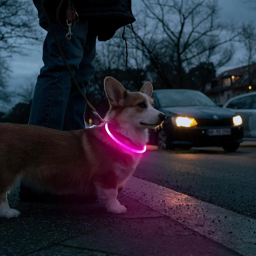 LED Dog Collar 2