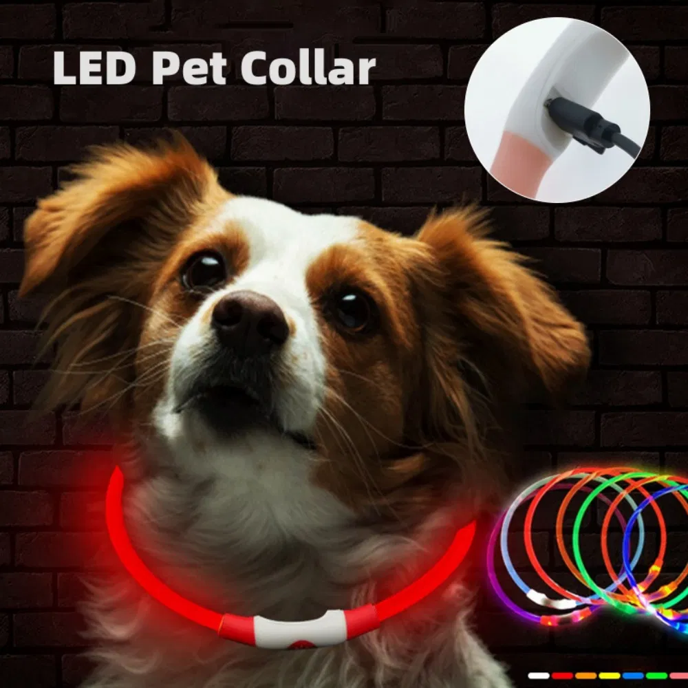 Pet Products Walks Dog Safety LED USB Rechargeable Dog Collars