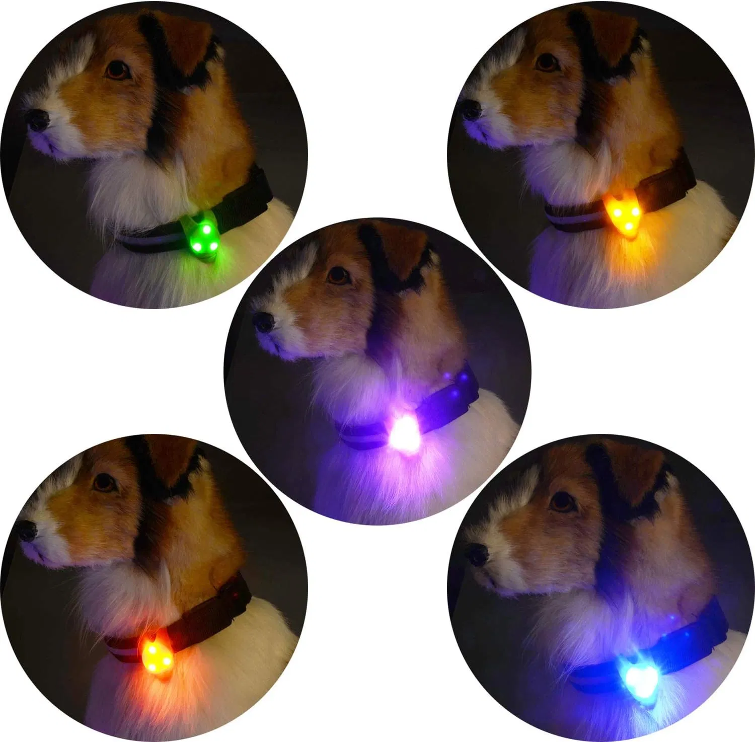 Pet Accessories Pendant Waterproof Silicone Safety Lights Cat LED Dog Collar Light