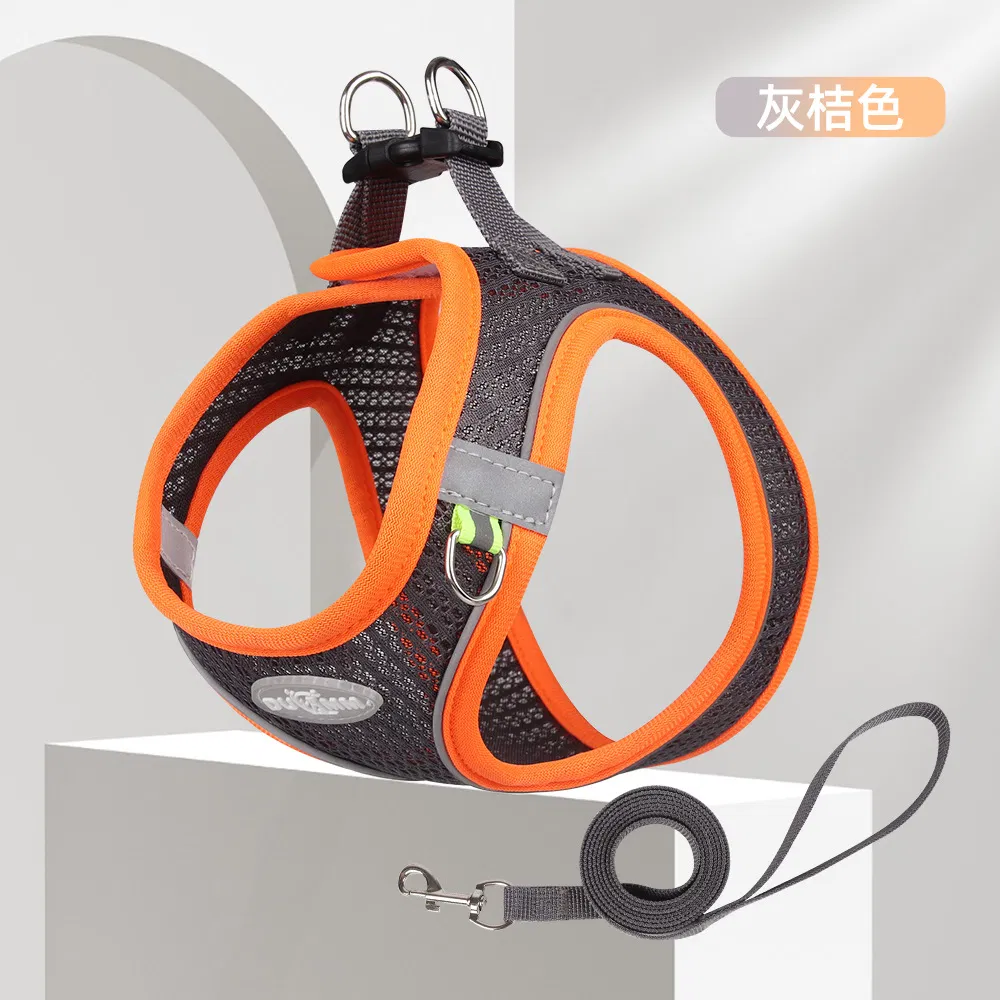 Pet Accessories Wholesale