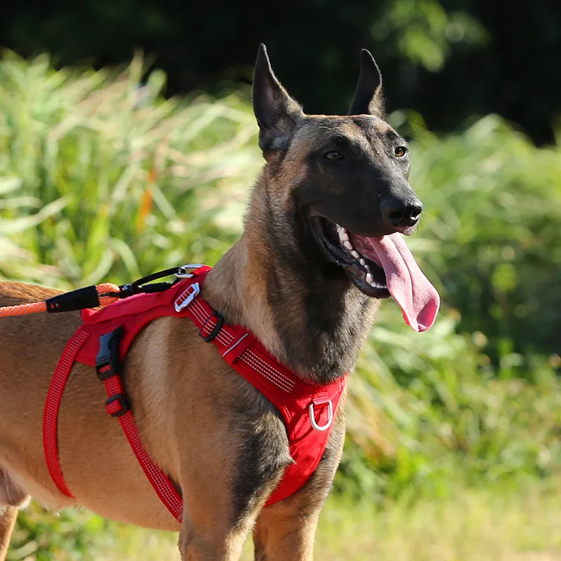 Adjustable Strap Detail