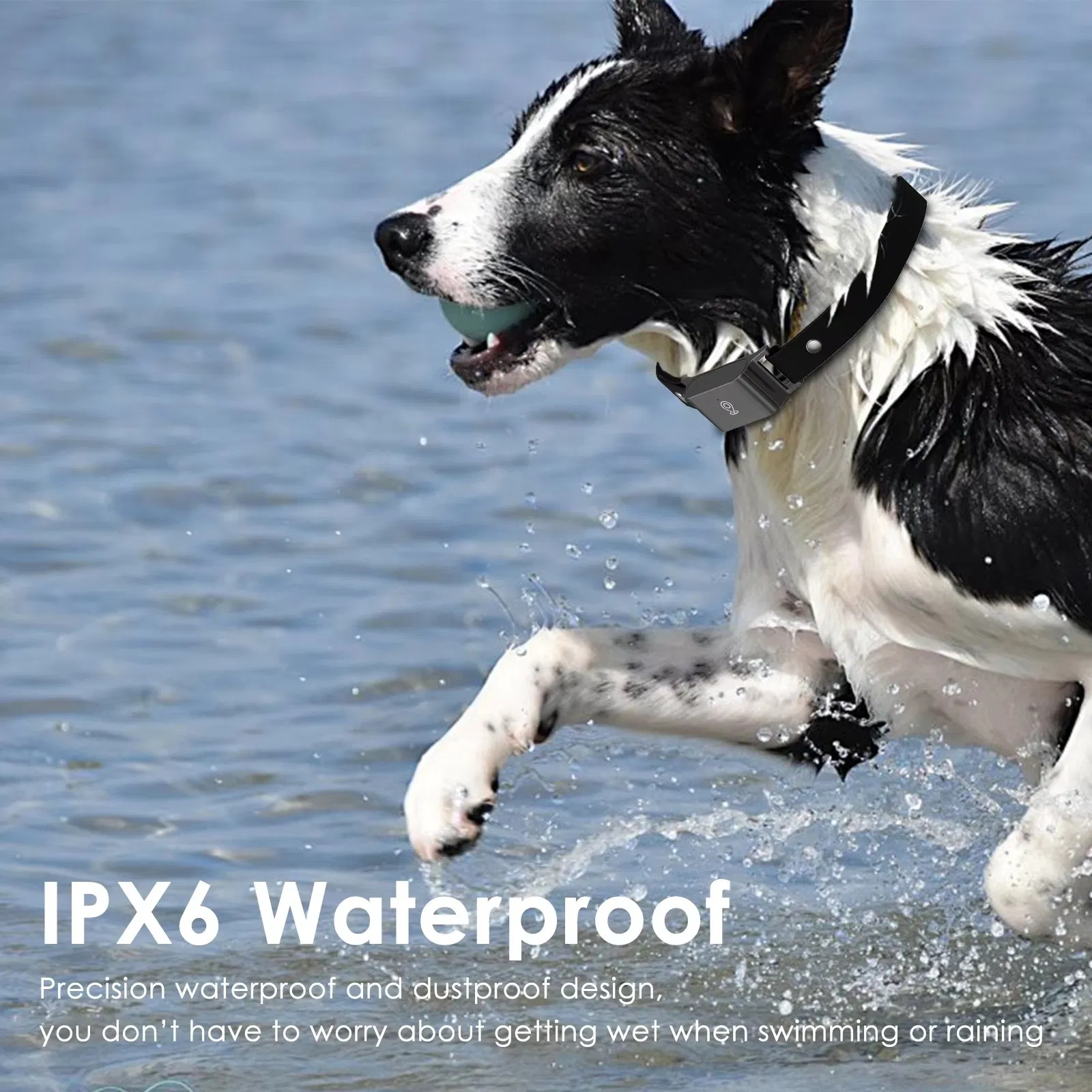 Pet Tracking Device 4G LTE Real Time Positioning Magnetic Dog Cat Waterproof Mini GPS Locator Tracker with Collar