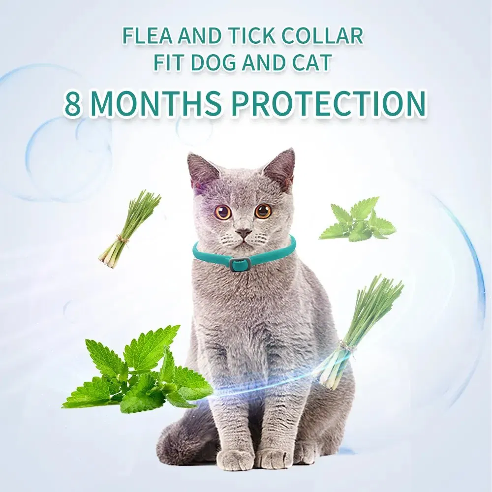 Nature Safe Waterproof Pet Collar Adjustable Elastic Dog Cat Pet Repellent Flea and Tick Collar