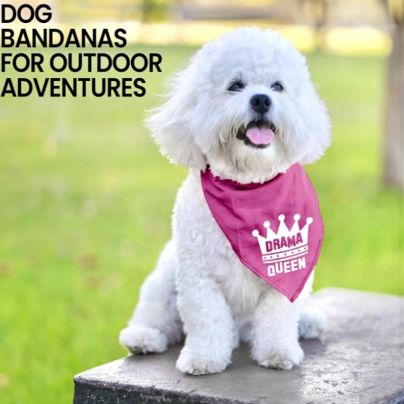 Washable Triangle Dog Handkerchief Scarf for Fashionable Pets