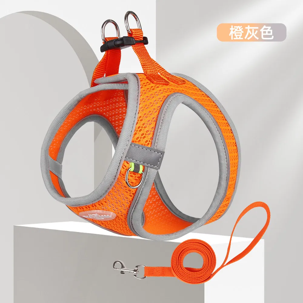 Personalized Pet Products