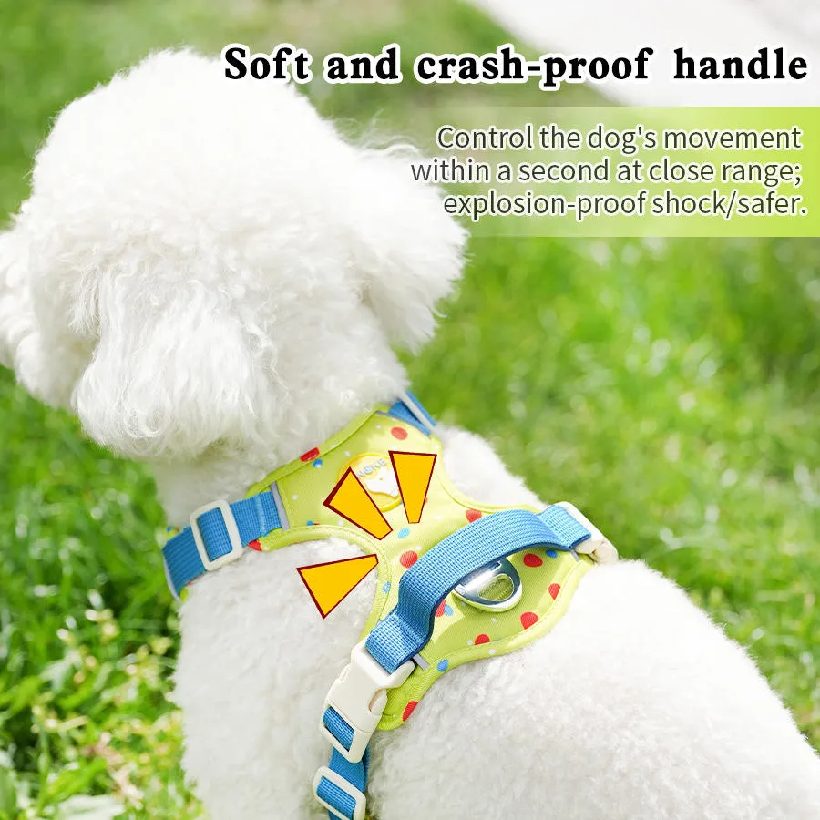 Pet Harness 2