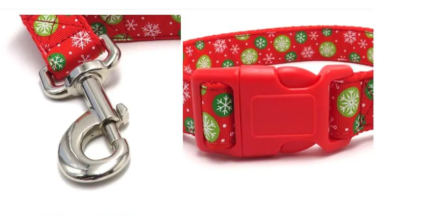 Collar and Leash Set