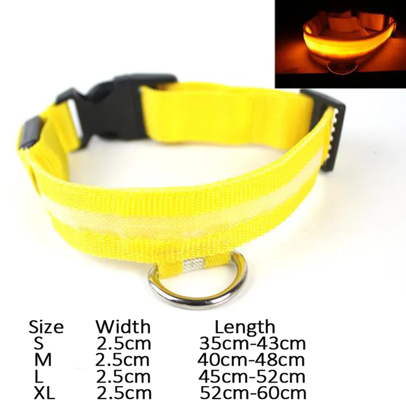 LED Glowing Dog Collar 1